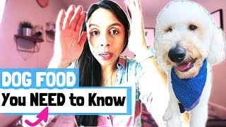 BEST DOG FOOD // What to Look for in Raw Dog Food