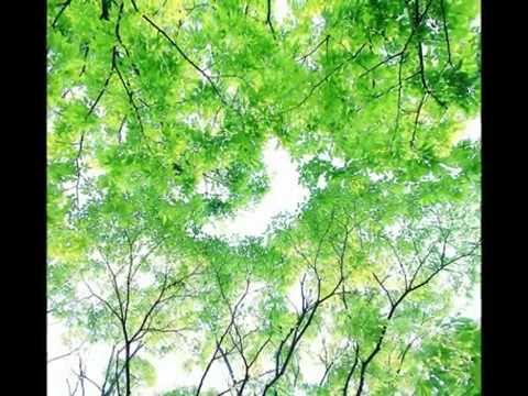 板胡独奏《公社春来早》石露、学义作曲、朱学义演奏