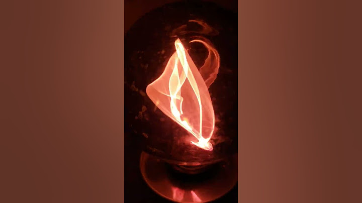Purple Balafire Bulb