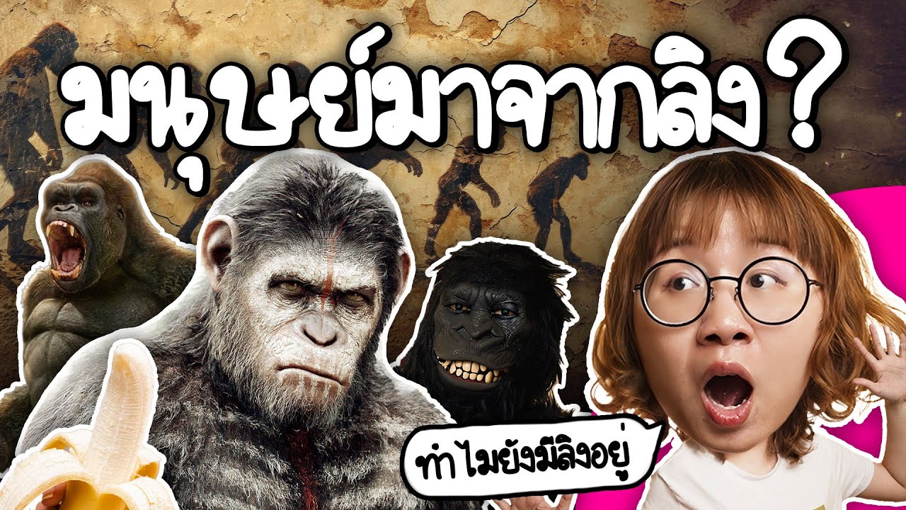 ถ้ามนุษย์มาจากลิง แล้วทำไมยังมีลิงอยู่ | Point of View