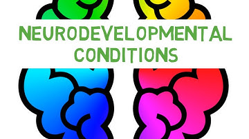 What is a Neurodevelopmental Condition?