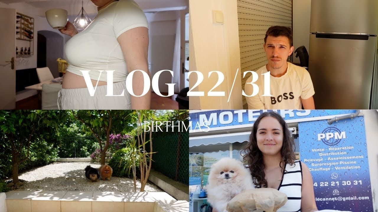 VLOG 22/31 - ALEKSU UDARIO AUTO I POBEGAO *BIRTHMAS*