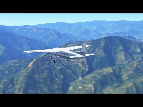 Infinite Flight -