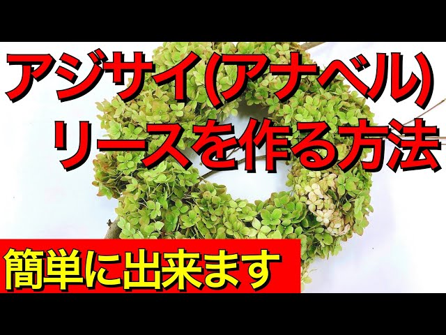 アジサイ（アナベル）リースの作り方【ドライフラワーリースの作り方