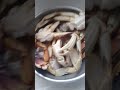 catch&cook fresh crab #catchandcook #cooking #food #trending #video #vlog #fishing #viralshorts #ash
