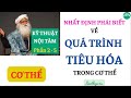 Phần 2-5│SÁCH "KỸ THUẬT NỘI TÂM" │CƠ THỂ │NHẬN THỨC SÂU SẮC VỀ QUÁ TRÌNH TIÊU HÓA│Sadhguru