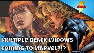 Black Widow Update -   Multiple Black Widows?!?