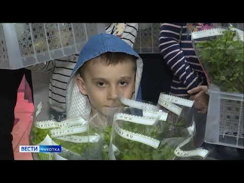 Продукты многодетным от предпринимателя Макатровой