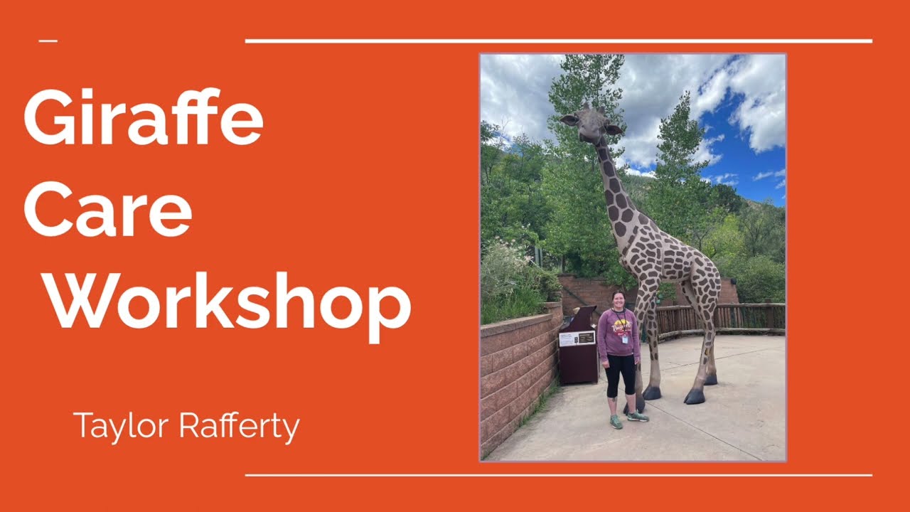 KEEPER SERIES: Giraffe Care Workshop Presentation (TR/RPZ)