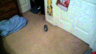 flashbang test 1