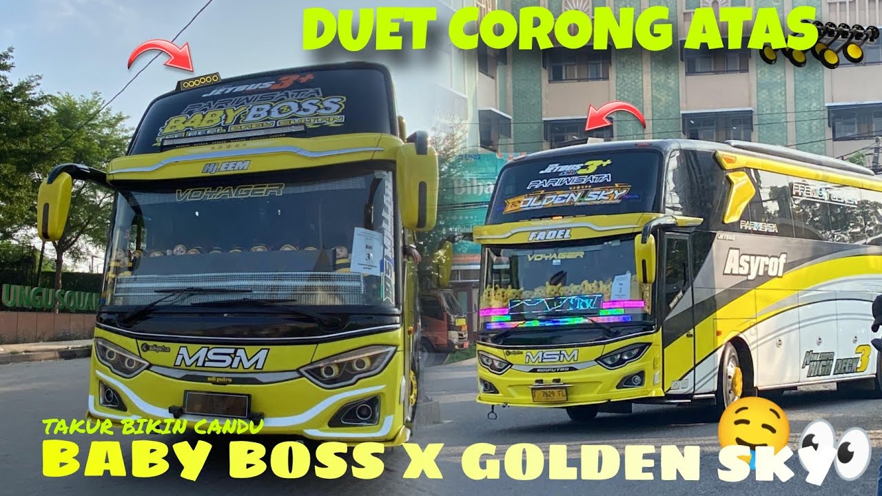 MODUL TAKUR BIKIN TERCANDU CANDU🤤 NGOYOD MSM BABY BOSS X GOLDEN SKY!! SIAPA YG PALING ASIK??