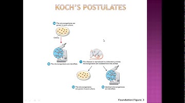 Microbiology Chapter 14 Part A