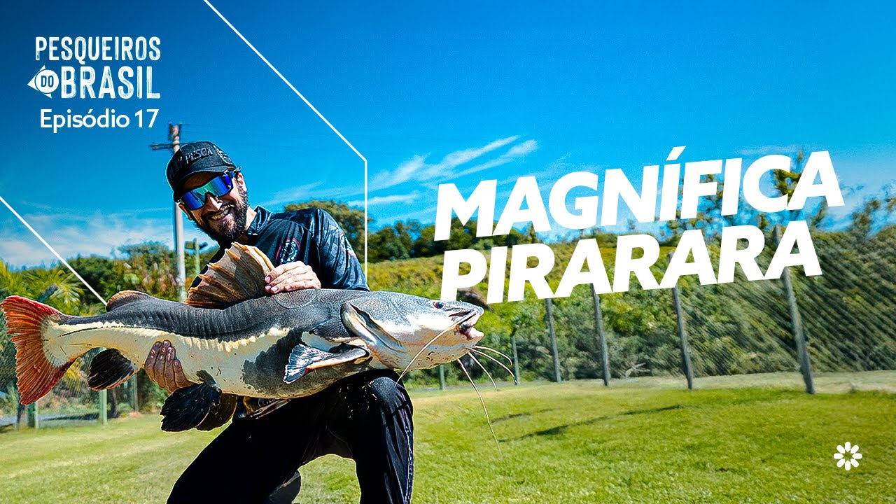 PIRARARAS GIGANTES no Quinta do Aveiro!