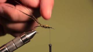 How to Tie a Quick & Tough Peacock Herl Body