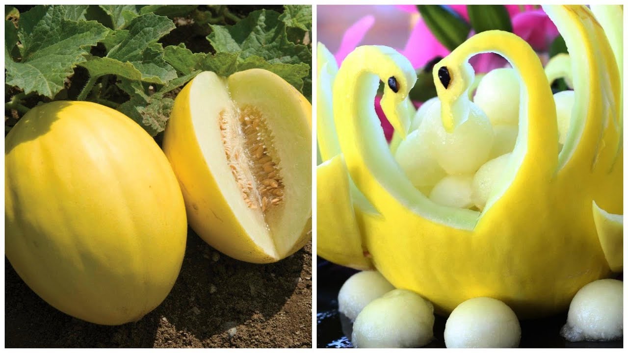 Fruit Carving Melon Swan Garnish | Fun Food For Kids | Creative Food Art Ideas