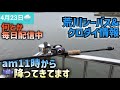 【葛西エリア】もam11時から雨です、風はちょっとあります。荒川シーバス&クロダイ情報