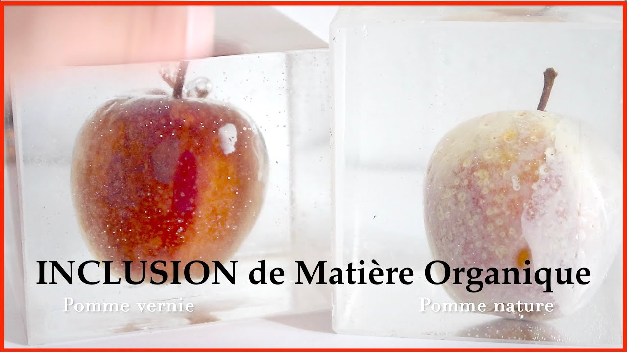 💩 INCLUSION DE MATIÈRE ORGANIQUE - RÉSINE TRANSPARENTE