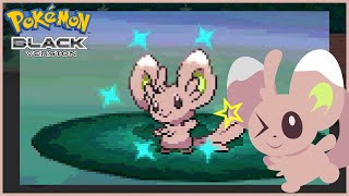 (LIVE) FULL ODDS Shiny Minccino in Pokemon Black [Phase 15]