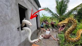 Brave soldiers used high-tech detectors to rescue a girl from a giant python's nest | Wild Python TV