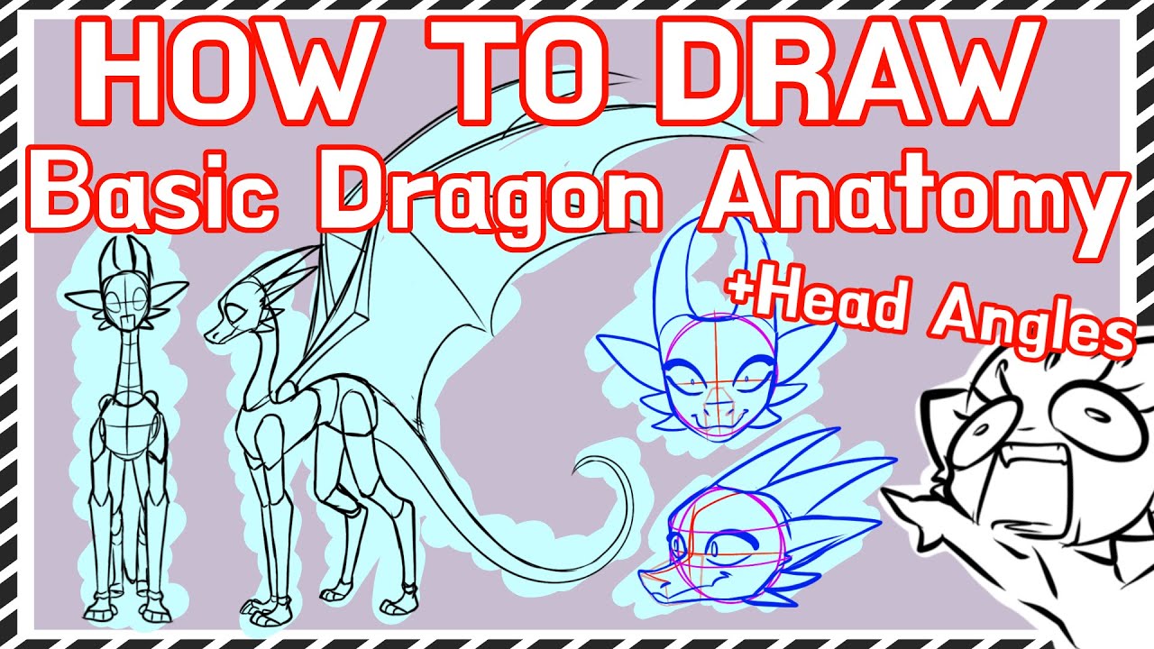 BASIC DRAGON ANATOMY // HOW TO DRAW \\ Drawing Tutorial - YouTube
