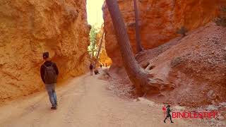 Bryce Canyon Tour with Bindlestiff Tours
