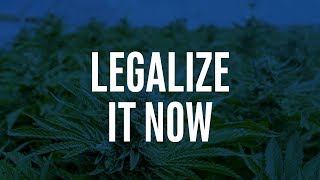 Legalizing Weed Could Offset Opioid Epidemic