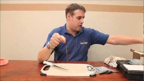 How To Use Sandeels For Fishing Bait