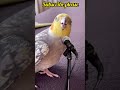@gkdrishti @SpreadingGyanOfficial @sohaibchaudhary #funny #viralsong #viralreels #viralshort