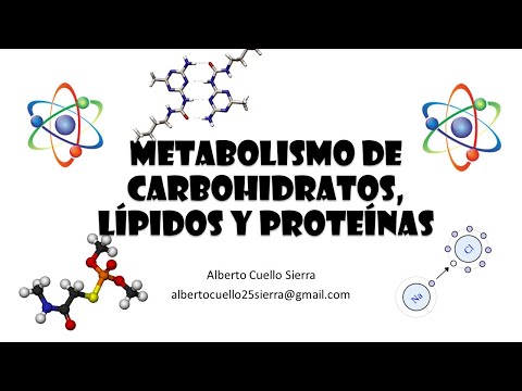 Vídeo: Contenido Calórico De Las Pasas: Contenido De Grasas, Proteínas, Carbohidratos Y Vitaminas