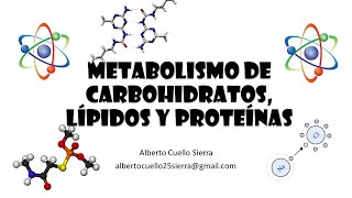 Bioquímica. Generalidades del metabolismo de Carbohidratos, lípidos y proteínas