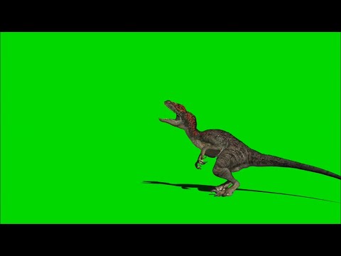 (4K) Velociraptor Running Across Screen Roar 1