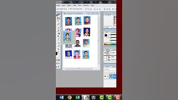 Crop & Auto Serial in Photoshop  | Photoshop Tutorial Bangla | Photoshop Shortcut  | #photoshop