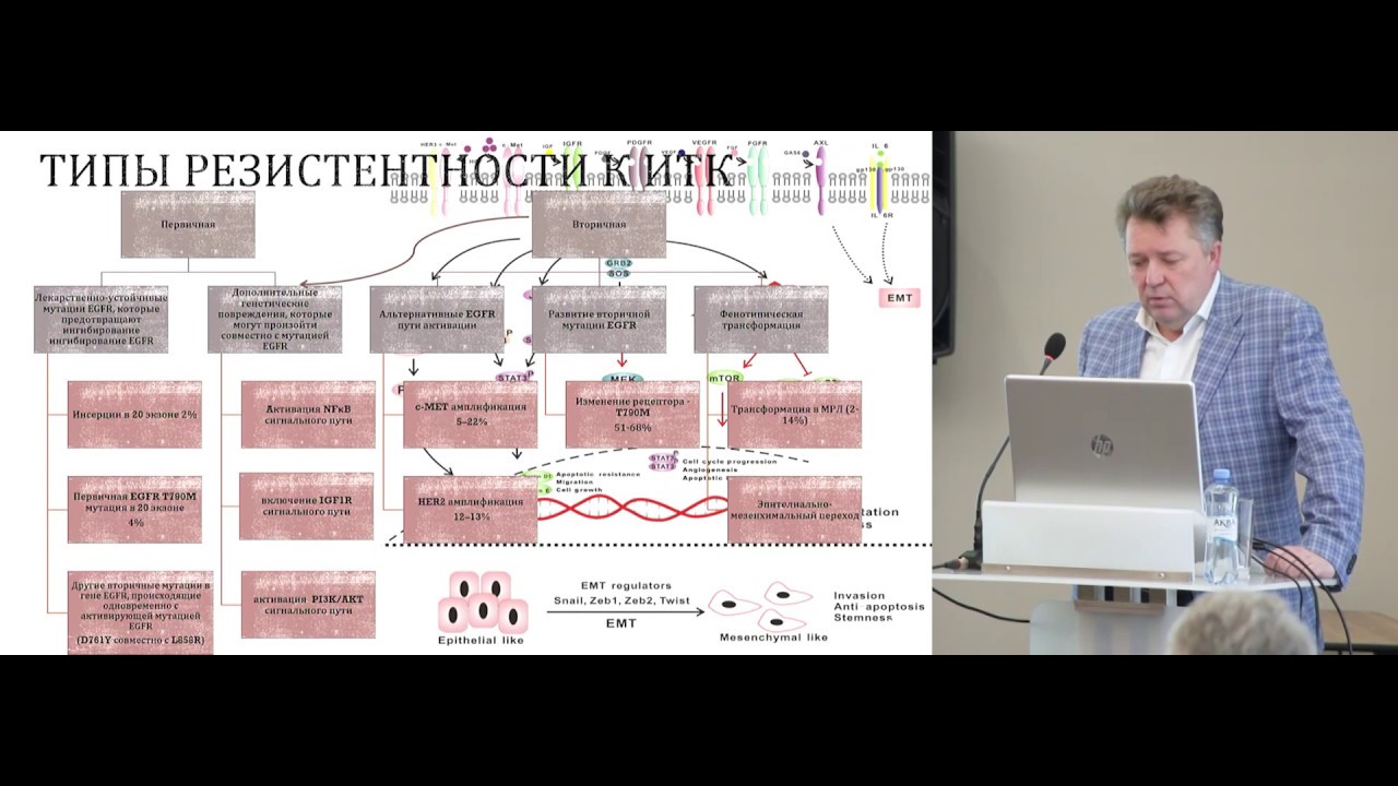 Комбинированная таргетная терапия НМРЛ – надежда на улучшение ...