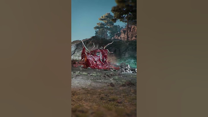 Ele encontrou uma aranha gigante