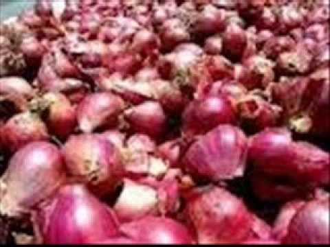 jual bawang merah brebes toko pesan harga beli distributor jual bawang merah brebes toko pesan harga beli distributor