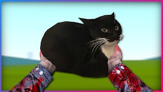 Well, This Is A Thing That Exists.. Carryable Cats Garrys Mod