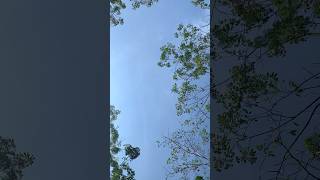 Pemandangan langit biru #pemandangan #langit #biru #cerah