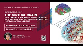 The Virtual Brain