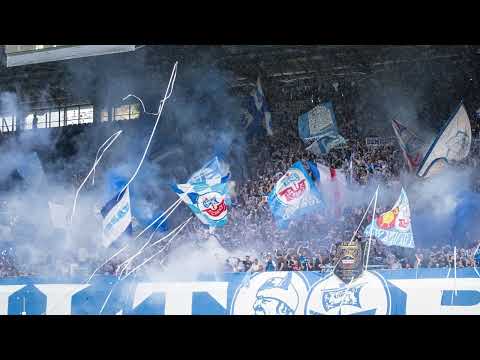 Koggenkrieger - Aufstieg oder Untergang - Hansa Rostock - Suptras - Ultras - 3. Liga - Fußball