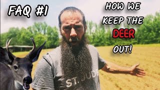 How We Keep Deer Out of Our Garden (Answering FAQ's)