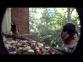 Birds at window feeder (test run new feeder) Birds at window feeder (test run new feeder)