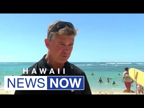 Recent shark encounters prompt safety warning, including for waters off Waikiki