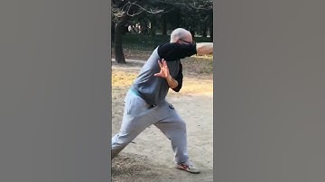 Yin Style Baguazhang kicking technique #baguazhang #kungfu