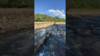 Горная река и форель 🎣 Чистая природа 🌊 #reels #fishing #trout #nature #viral»
