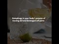 Your body is designed to regenerate and heal
