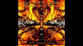 Meshuggah- Rational Gaze(Instrumental)