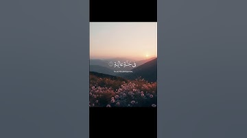سورة الغاشية - عبدالرحمن مسعد   #عبدالرحمن_مسعد #القرآن_الكريم #القرآن #الله #quran #راحة_نفسية