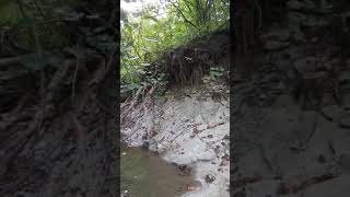Есть такие, как Движнов! И с народом, и власть в обиду не даст‼