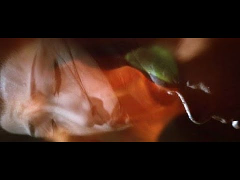 IN THE FRAME: HANZO THE RAZOR TRILOGY (1972-1974) - YouTube