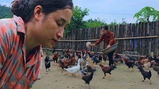 Download Lagu in my farm: i am not allowed to rest to develop my farm MP3 Download Lagu in my farm: i am not allowed to rest to develop my farm MP3